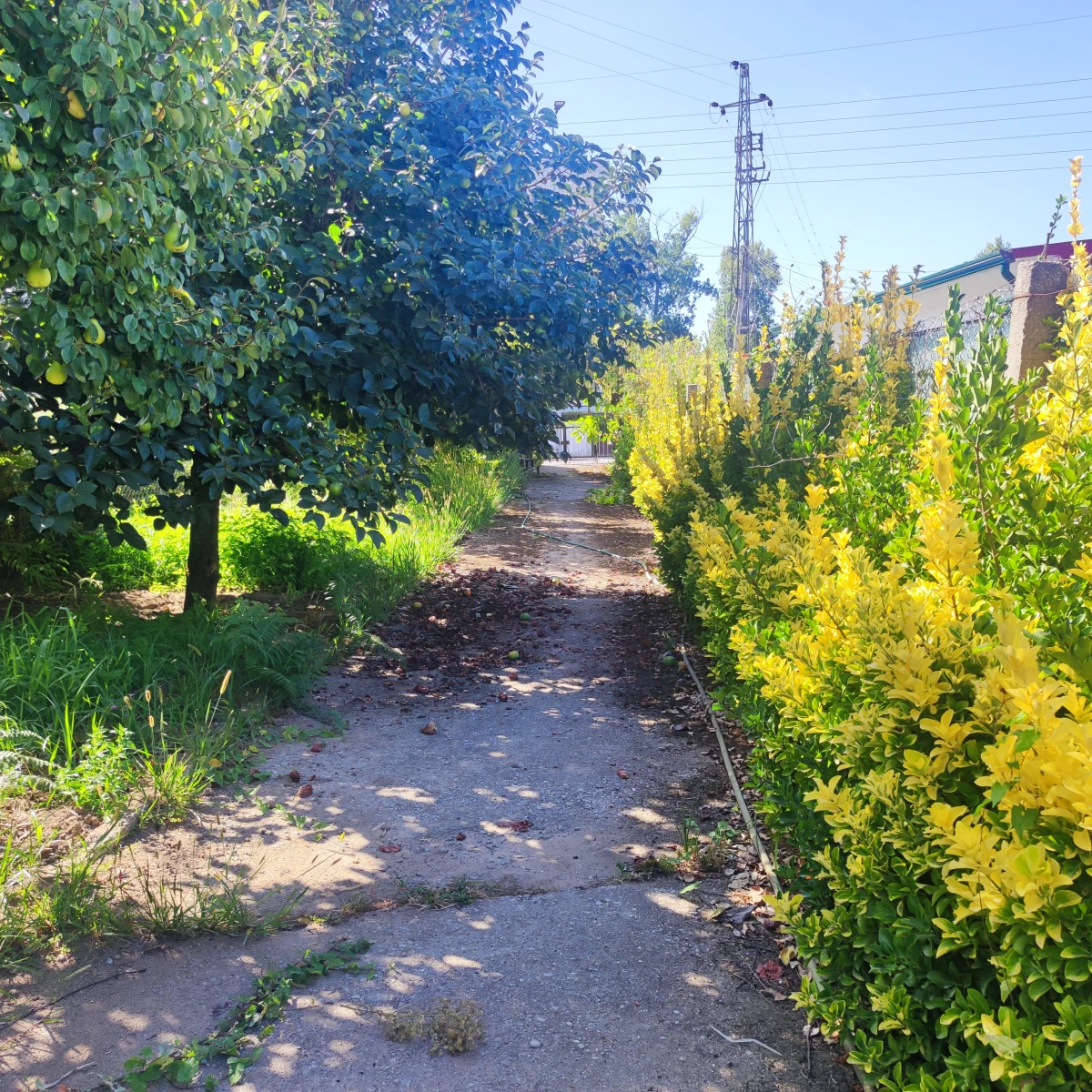 Kaskata -  Soluções Imobiliárias - Terreno Terreno com cerca de 1100 m2, para construção de moradia; poço e arrumos ja construídos; perto do Canelas, Gaia.