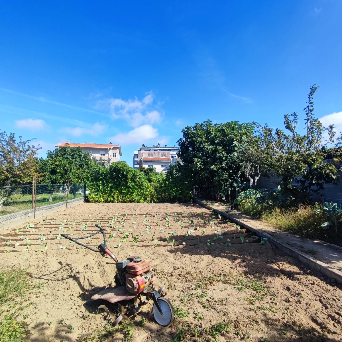 Kaskata -  Soluções Imobiliárias - Terreno Terreno com cerca de 1100 m2, para construção de moradia; poço e arrumos ja construídos; perto do Canelas, Gaia.