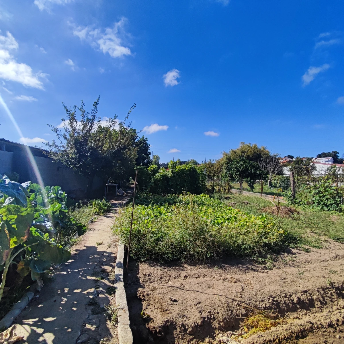 Kaskata -  Soluções Imobiliárias - Terreno Terreno com cerca de 1100 m2, para construção de moradia; poço e arrumos ja construídos; perto do Canelas, Gaia.