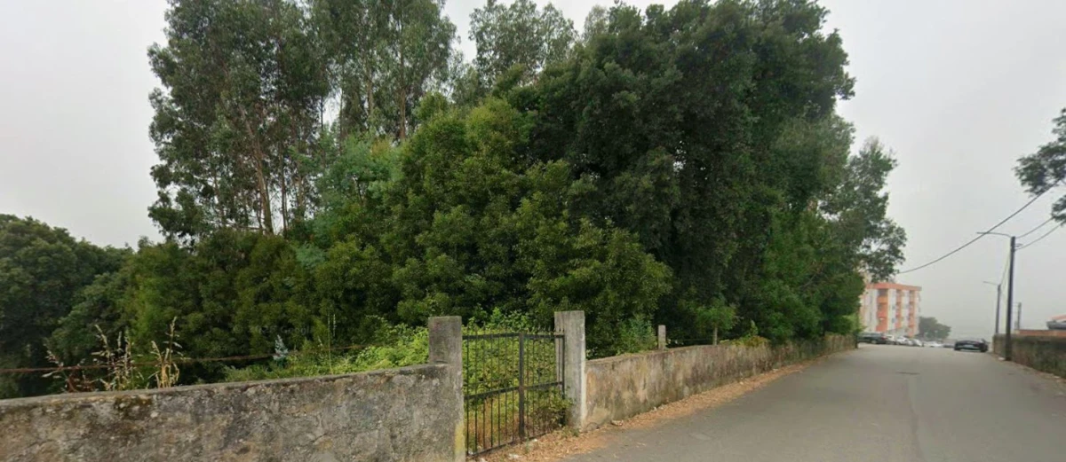 Kaskata -  Soluções Imobiliárias - Terreno Terreno para construção em altura. Com 3700m2, frente de 60m.